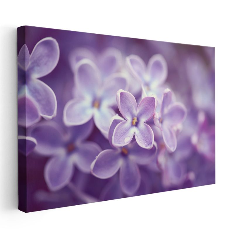 Leylak Çiçeği - Makro Çekim Detay Kanvas Tablo