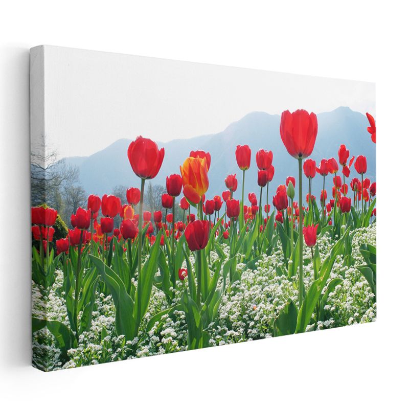 Kırmızı Laleler - Beyaz Çiçeklerle Dağ Manzarası Kanvas Tablo