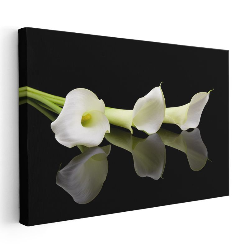 Beyaz Kalla Çiçekleri - Zarif Yansımalı Tasarım Kanvas Tablo