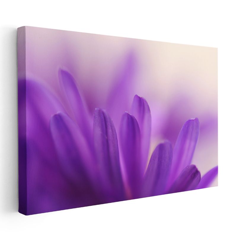 Mor Çiçek Yaprakları - Makro Çekim Detaylı Kanvas Tablo