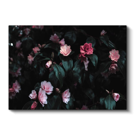 Kamelya Çiçekleri - Koyu Yapraklı Romantik Tasarım Kanvas Tablo