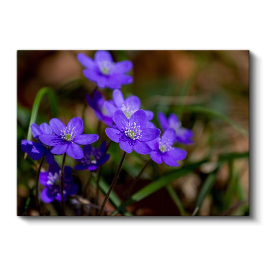 Mavi Orman Çiçekleri - Yeşil Yapraklı Bahar Kanvas Tablo