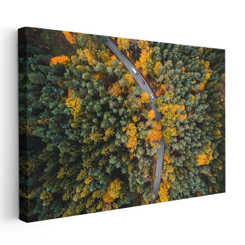 Sonbahar Ormanı - Havadan Görünüm Kanvas Tablo