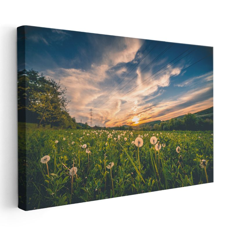 Karahindiba Tarlası - Gün Batımı Manzaralı Kanvas Tablo