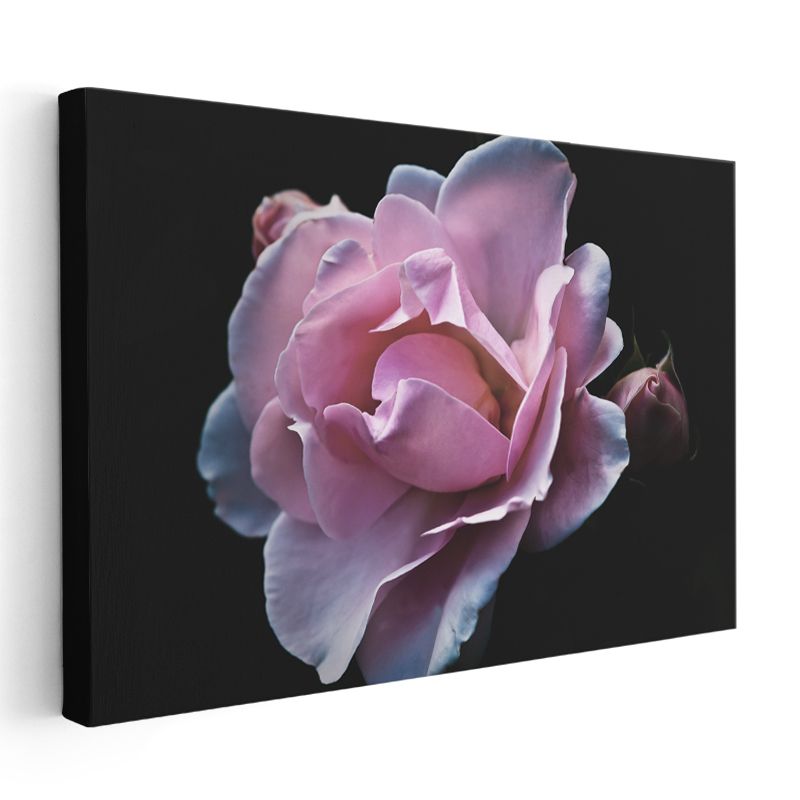Pembe Gül - Zarif Tomurcuklu Çiçek Kanvas Tablo