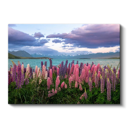 Lüpin Çiçekleri - Göl Manzaralı Doğa Fotoğrafı Kanvas Tablo