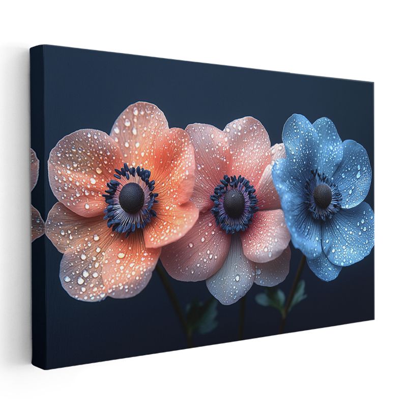 Renkli Anemonlar - Su Damlacıklı Üçlü Çiçek Portresi Kanvas Tablo