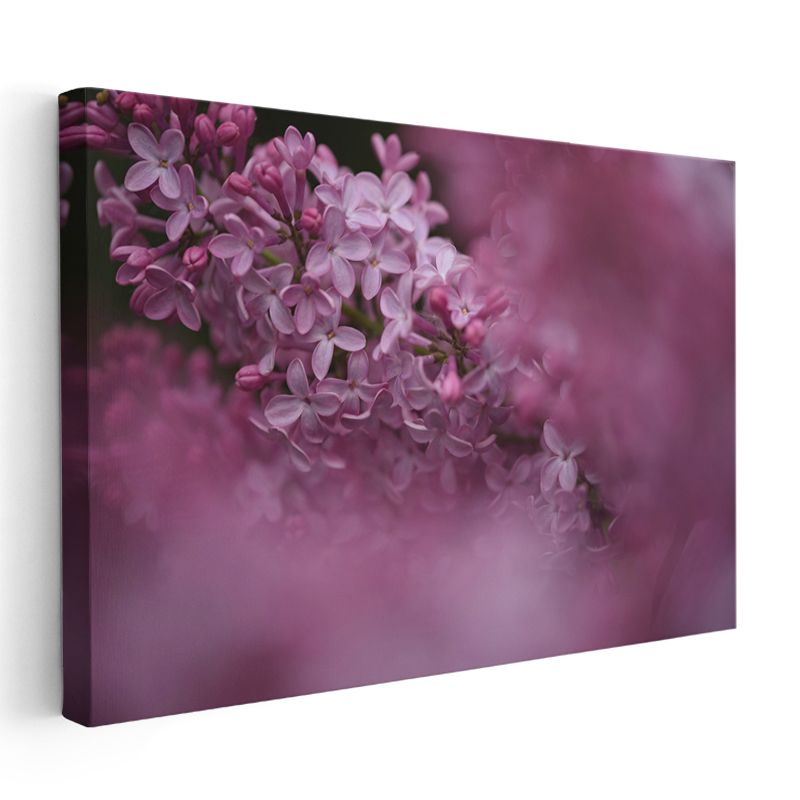 Leylak Çiçekleri - Pembe Tonlarda Romantik Portre Kanvas Tablo