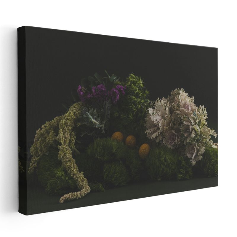 Yeşil Bitkiler - Siyah Fonda Doğal Kompozisyon Kanvas Tablo