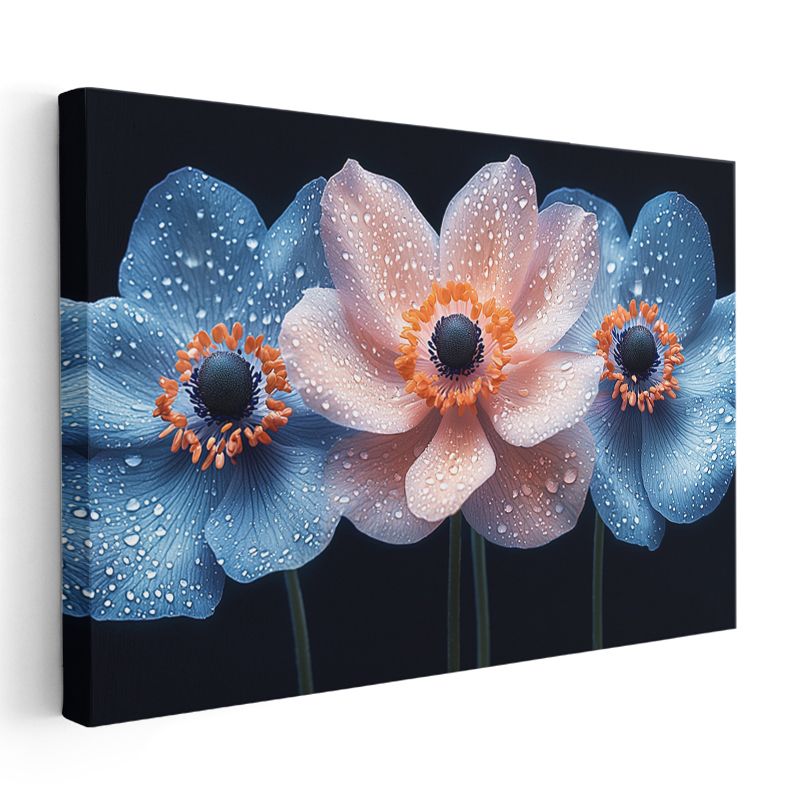 Renkli Anemonlar - Siyah Fonda Çiy Damlacıklı Çiçekler Kanvas Tablo