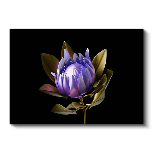 Mor Protea - Siyah Fonda Egzotik Çiçek Portresi Kanvas Tablo