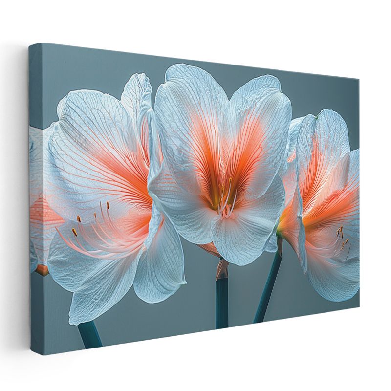 Beyaz Amarilis - Turkuaz Fonda Zarif Çiçek Portresi Kanvas Tablo