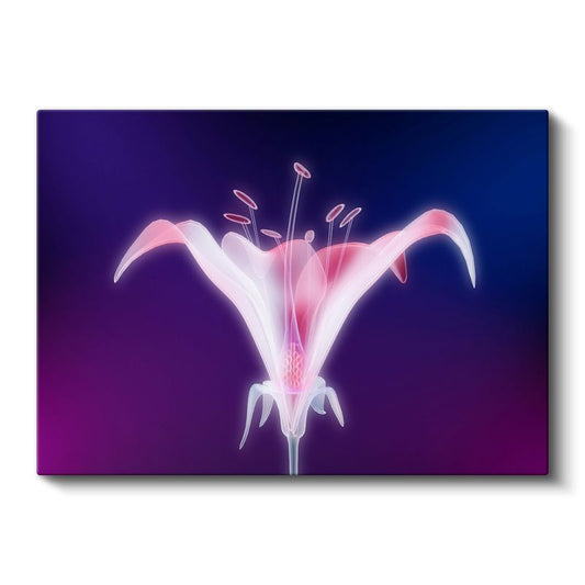 Neon Zambak - Mor Fonda Işıltılı Çiçek Silüeti Kanvas Tablo