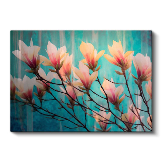 Pembe Manolyalar - Turkuaz Fonda Çiçek Şöleni Kanvas Tablo