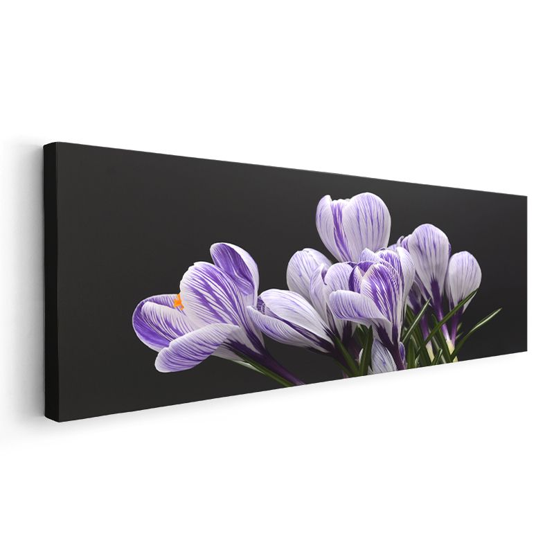 Mor Çiğdemler - Siyah Fonda Zarif Çizgili Çiçekler Kanvas Tablo