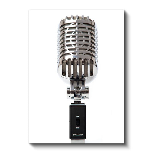 Profesyonel Mikrofon - Dinamik Kayıt Ekipmanı Kanvas Tablo