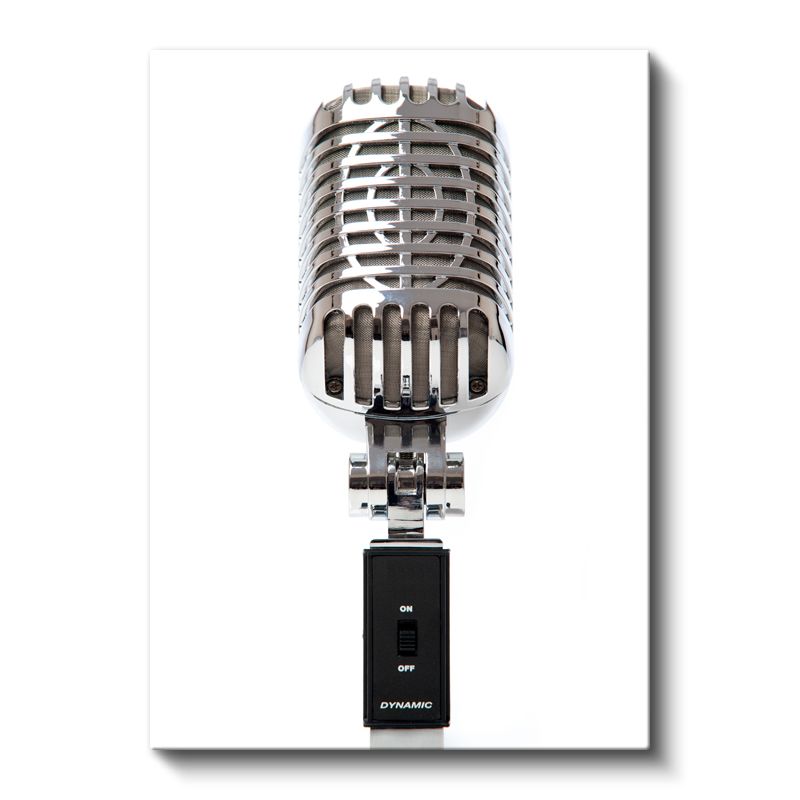 Profesyonel Mikrofon - Dinamik Kayıt Ekipmanı Kanvas Tablo