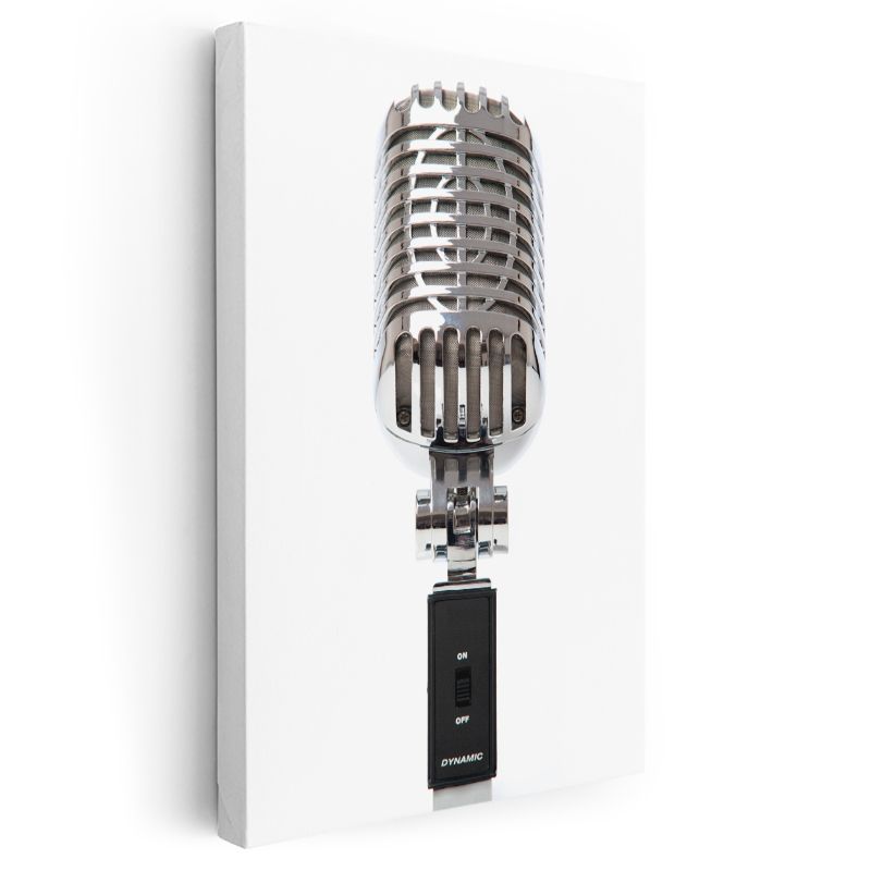 Profesyonel Mikrofon - Dinamik Kayıt Ekipmanı Kanvas Tablo