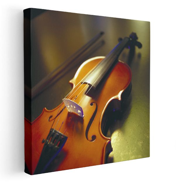 Klasik Keman - Müziğin Zarif Enstrümanı Kanvas Tablo