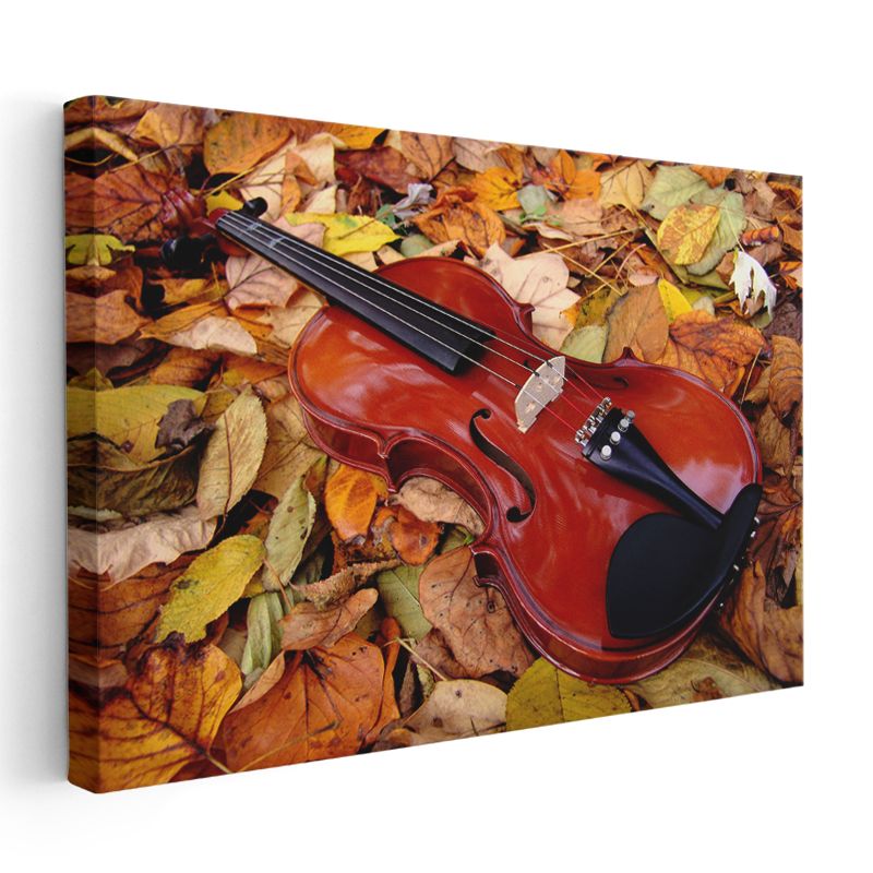 Sonbahar Kemanı - Yapraklar Arasında Müzik Kanvas Tablo