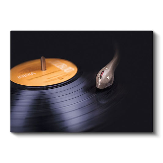 Plak - Analog Müzik Keyfi Kanvas Tablo