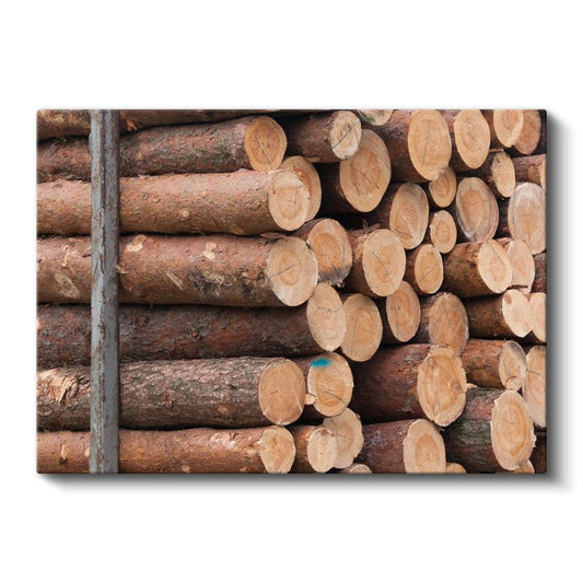 Odun Kütükleri - Doğal Ahşap Dokusu Kanvas Tablo