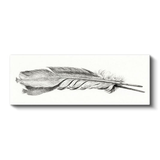 Kuş Tüyü Çizimi - Zarif Karakalem Sanatı Kanvas Tablo