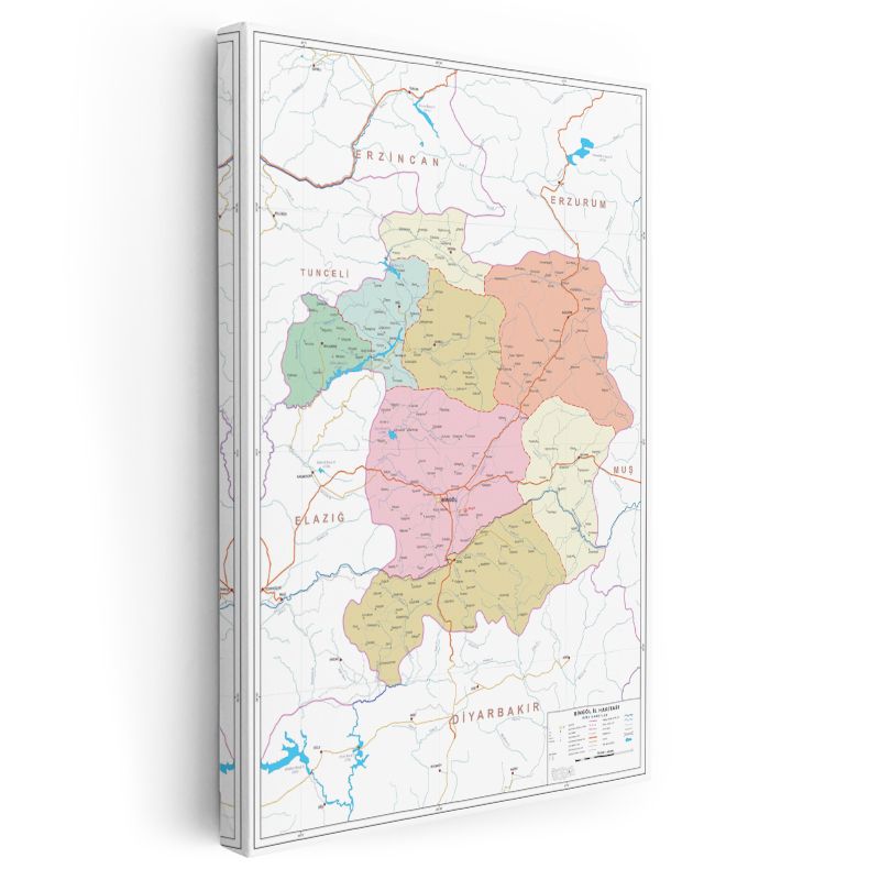 Bingöl - Fiziki Haritası Kanvas Tablo
