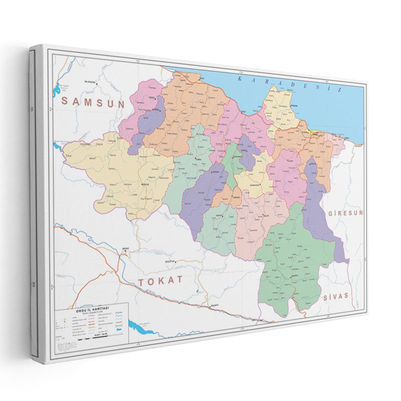 Ordu - İl Haritası Kanvas Tablo