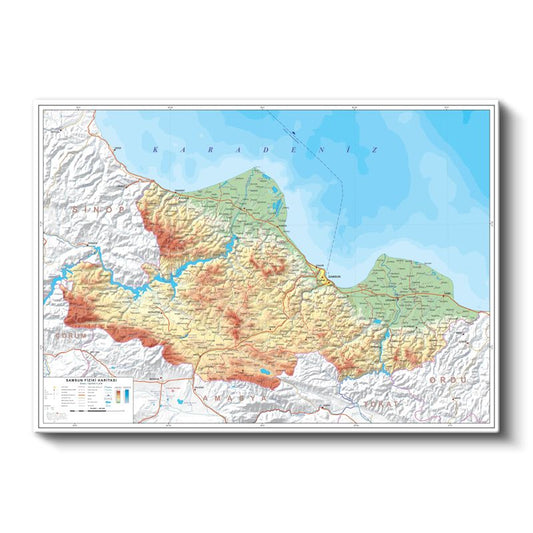 Samsun - Fiziki Haritası Kanvas Tablo