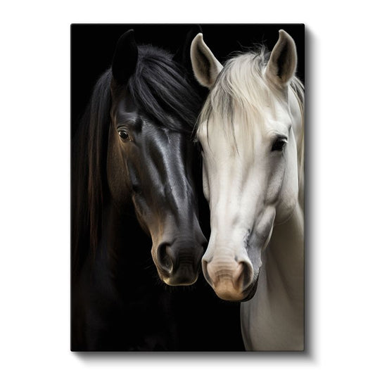 İkili Kontrast - Siyah ve Beyaz Atlar Kanvas Tablo