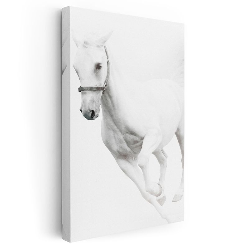 Dinamik Beyaz At - Güçlü Koşu Anı Kanvas Tablo