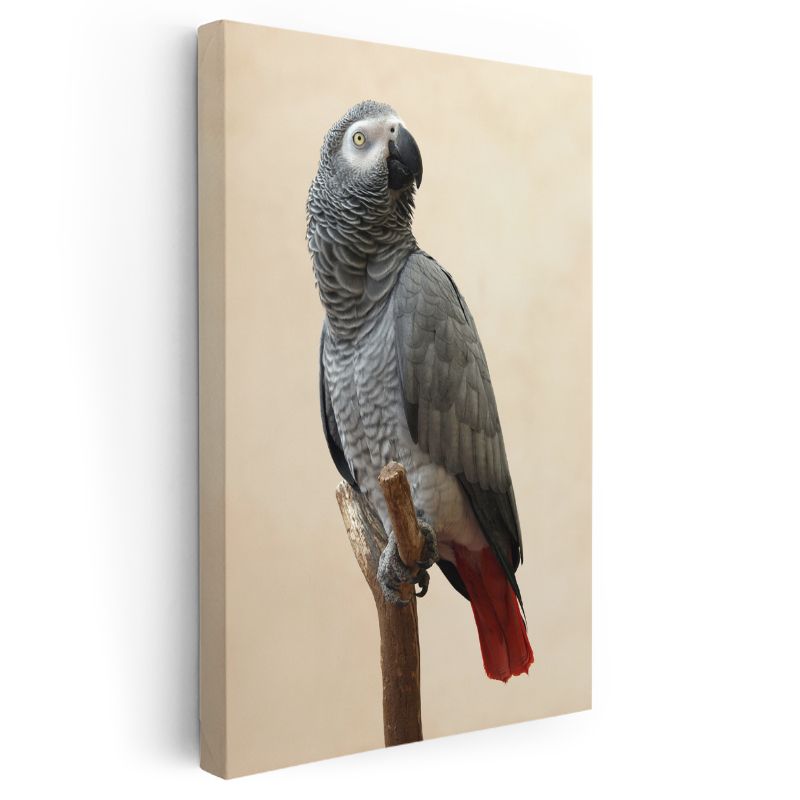 Afrika Papağanı - Kırmızı Kuyruklu Asalet Kanvas Tablo