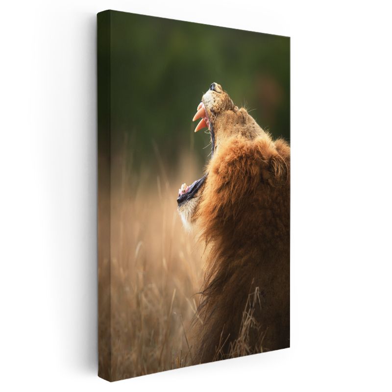 Kükreyen Aslan - Vahşi Haykırış Kanvas Tablo