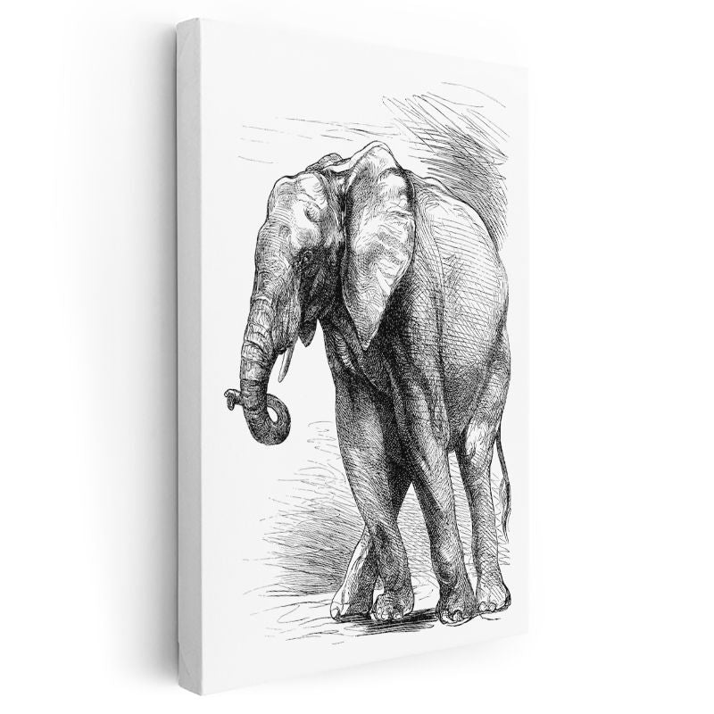 Fil Çizimi - Klasik Eskiz Kanvas Tablo