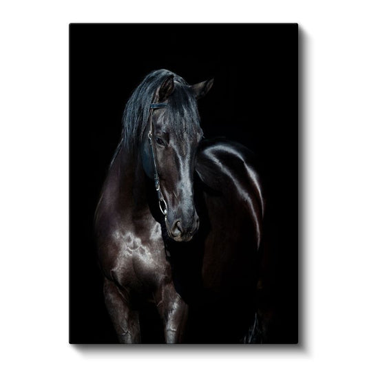 Siyah At - Karanlık İhtişam Kanvas Tablo