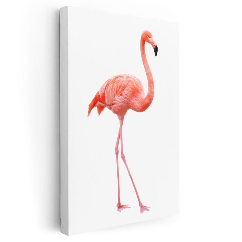 Flamingo - Zarif Duruşlu Pembe Güzellik Kanvas Tablo