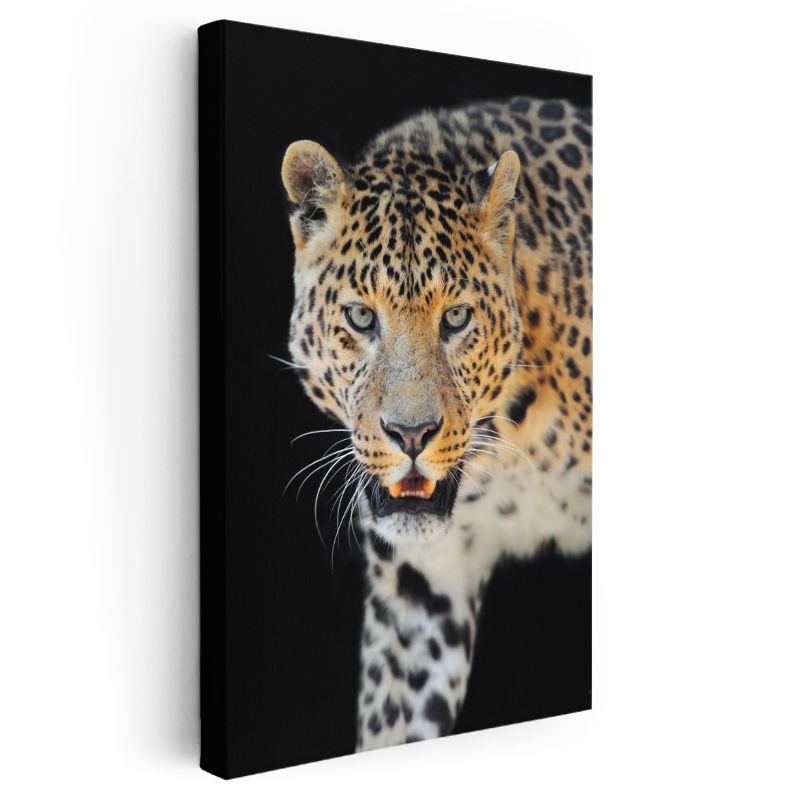 Leopar Yüzü - Keskin Bakışlı Vahşi Kedi Kanvas Tablo