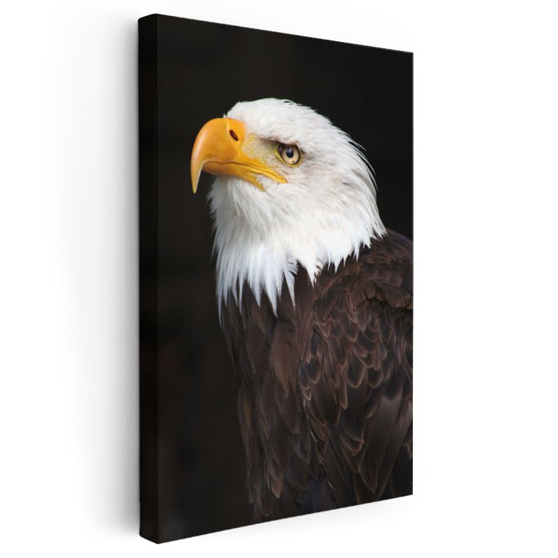 Kartal Profili - Keskin Bakışlı Avcı Kuş Kanvas Tablo