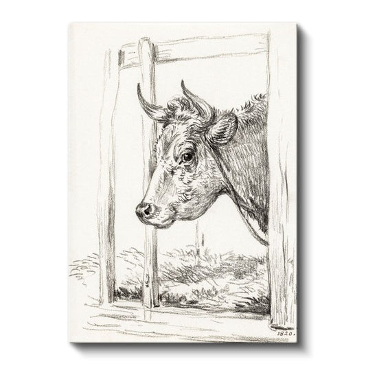 Karakalem İnek - Nostaljik Çiftlik Hayvanı Kanvas Tablo
