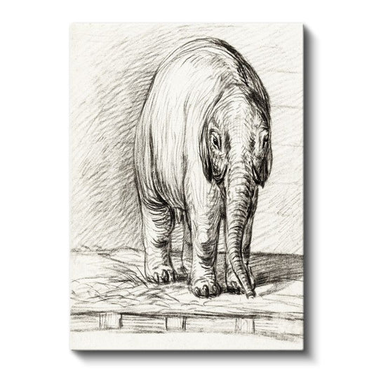 Karakalem Fil - Zarif Duruşlu Devasa Dostumuz Kanvas Tablo
