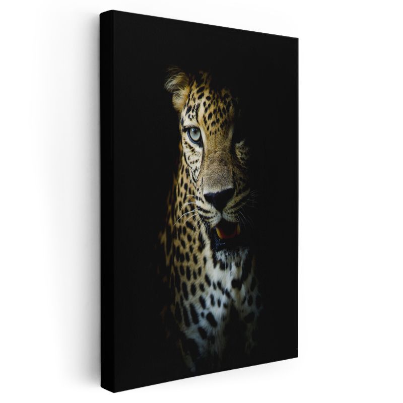 Gölgeli Leopar - Gizemli Bakışlı Yırtıcı Kanvas Tablo