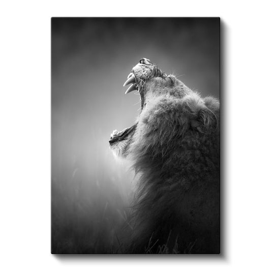 Kükreyen Aslan - Güç Simgesi Yırtıcı Kanvas Tablo