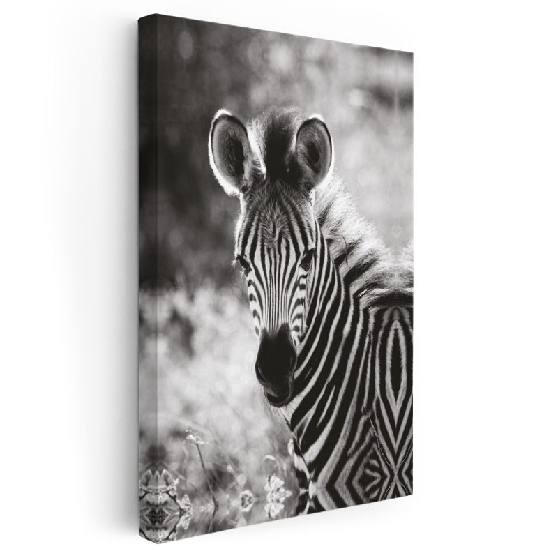 Zebra Portresi - Çizgili Desenli Afrika Güzeli Kanvas Tablo