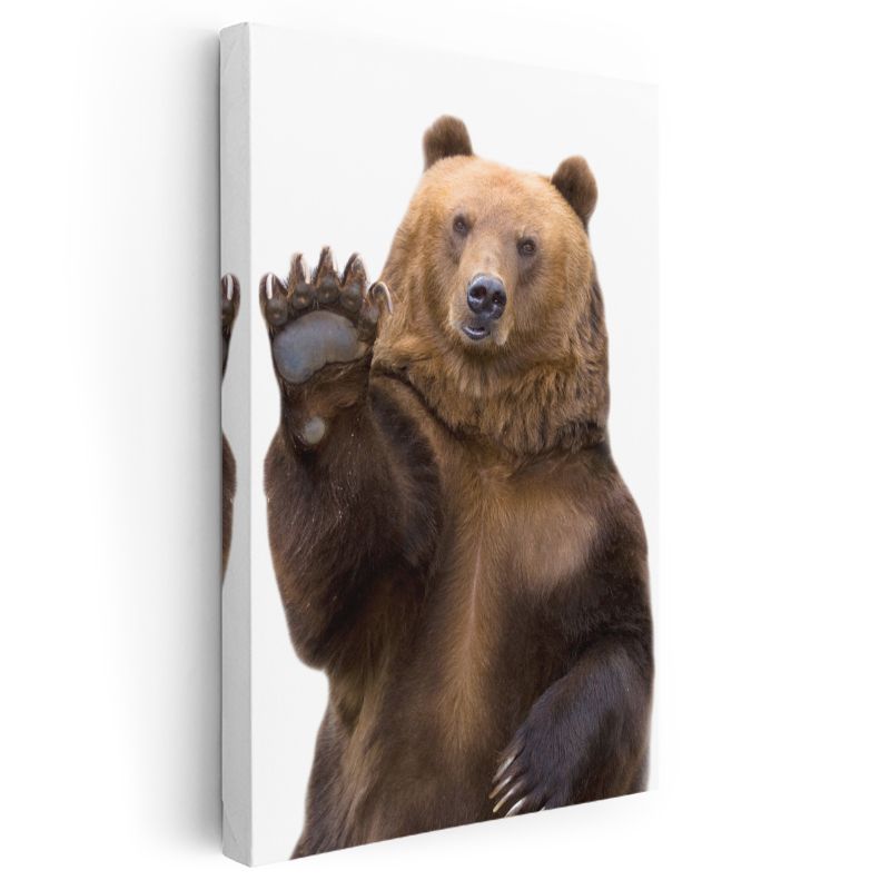 Sevimli Ayı - Pençesini Kaldıran Kahverengi Boz Ayı Kanvas Tablo