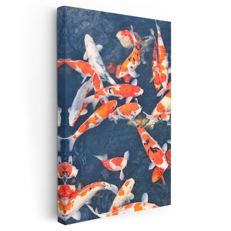Koi Balıkları - Mavi Suda Dans Eden Turuncu-Beyaz Japon Balıkları Kanvas Tablo