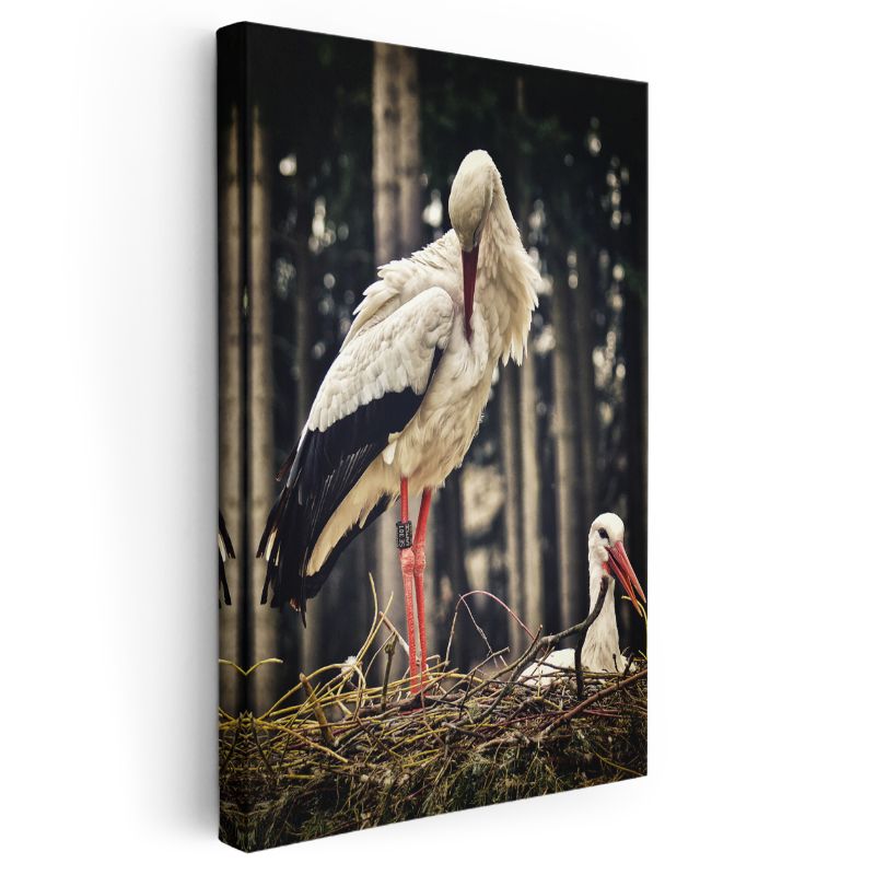 Leylek Ailesi - Yuvada Duran Zarif Leylekler Kanvas Tablo