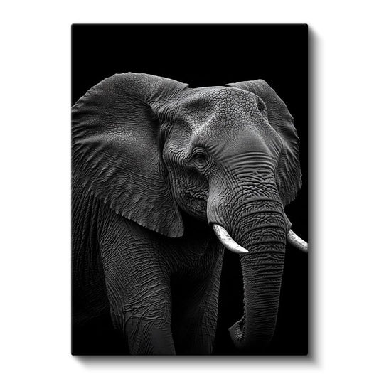 Asil Fil - Siyah Beyaz Detaylı Portre Kanvas Tablo