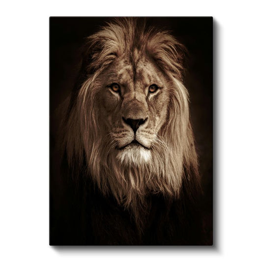 Ormanlar Kralı - Kahverengi Tonlarında Asil Aslan Kanvas Tablo