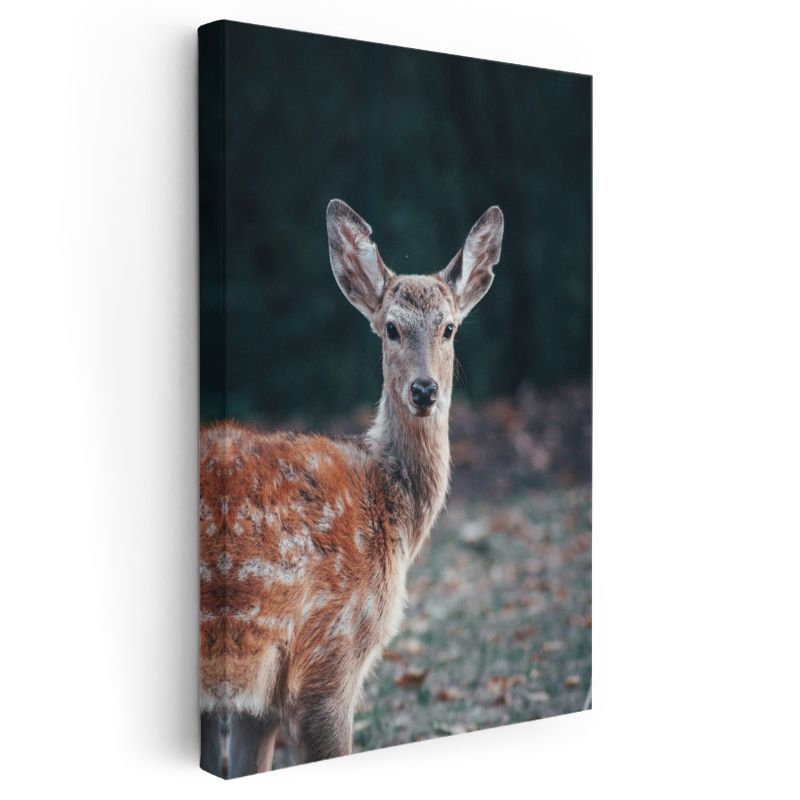 Orman Geyiği - Benekli Tüyleriyle Zarif Duruş Kanvas Tablo
